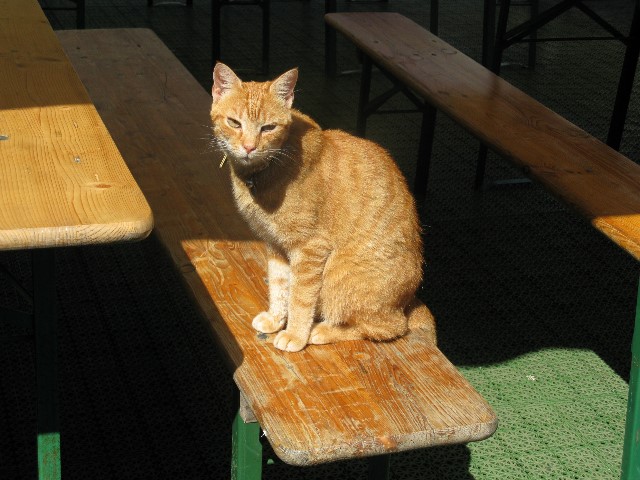 ../Images/Hochzeit 7725.jpg